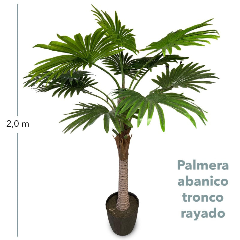 Planta Decorativa Artificial Palmera Abanico 2.0mt (anillos)