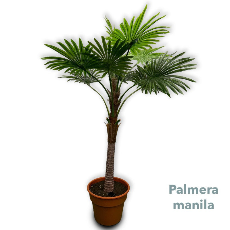 Planta Decorativa Artificial Palmera Manila 2.0mt