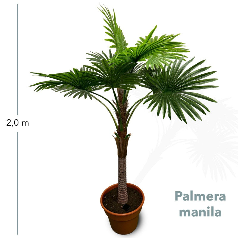 Planta Decorativa Artificial Palmera Manila 2.0mt