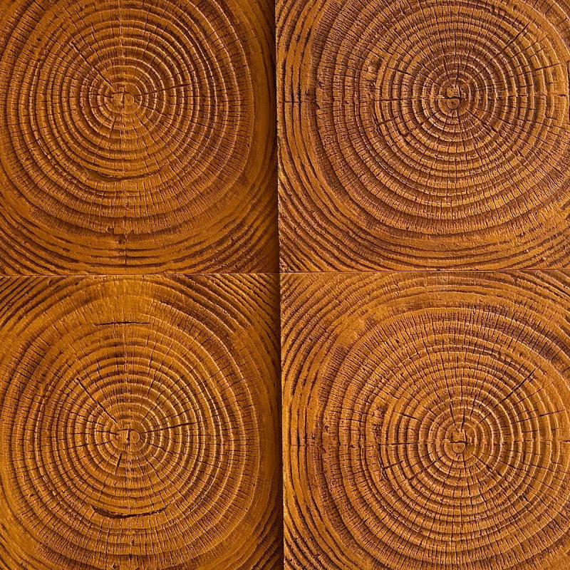 Panel PU Tree Rings (6u)