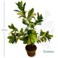 Planta Decorativa Artificial Croton 1.6mt