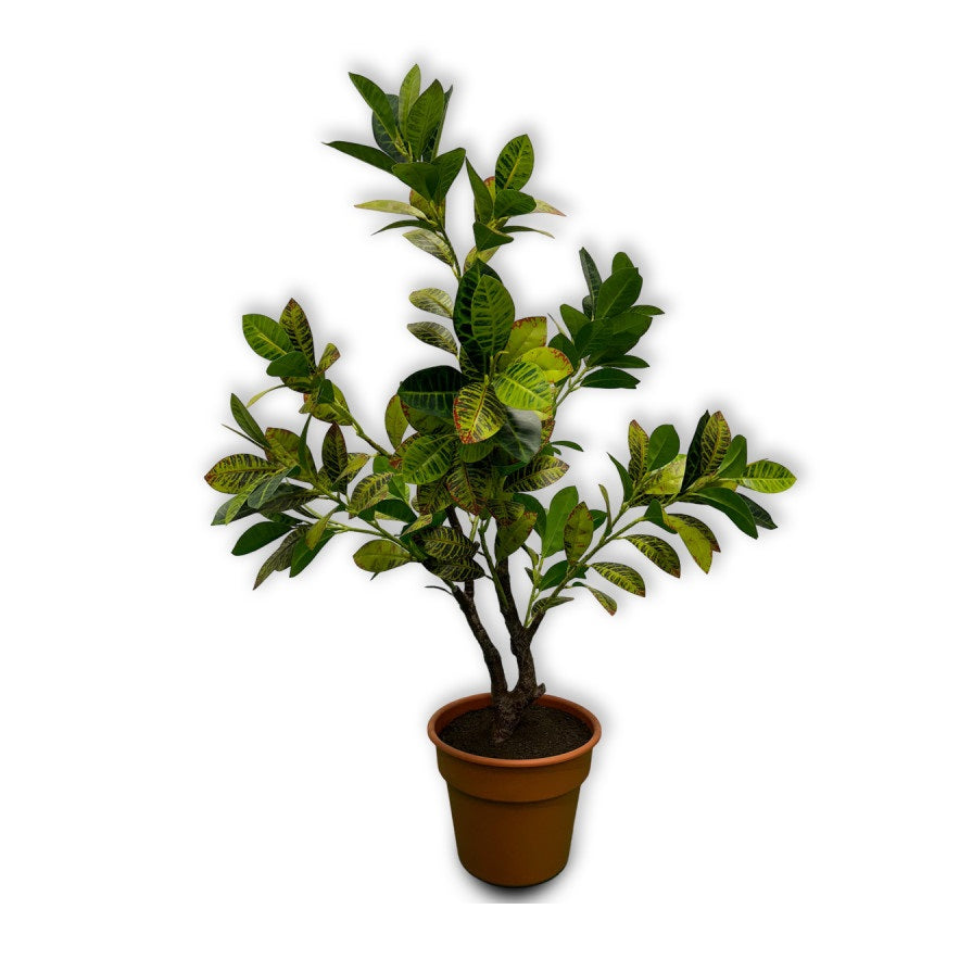 Planta Decorativa Artificial Croton 1.6mt