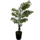 Planta Decorativa Artificial Ficus Bordes Blancos 200cm