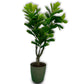 Planta Decorativa Artificial Ficus Lyrata 150cm