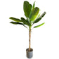 Planta Decorativa Hoja de Platano 220cm