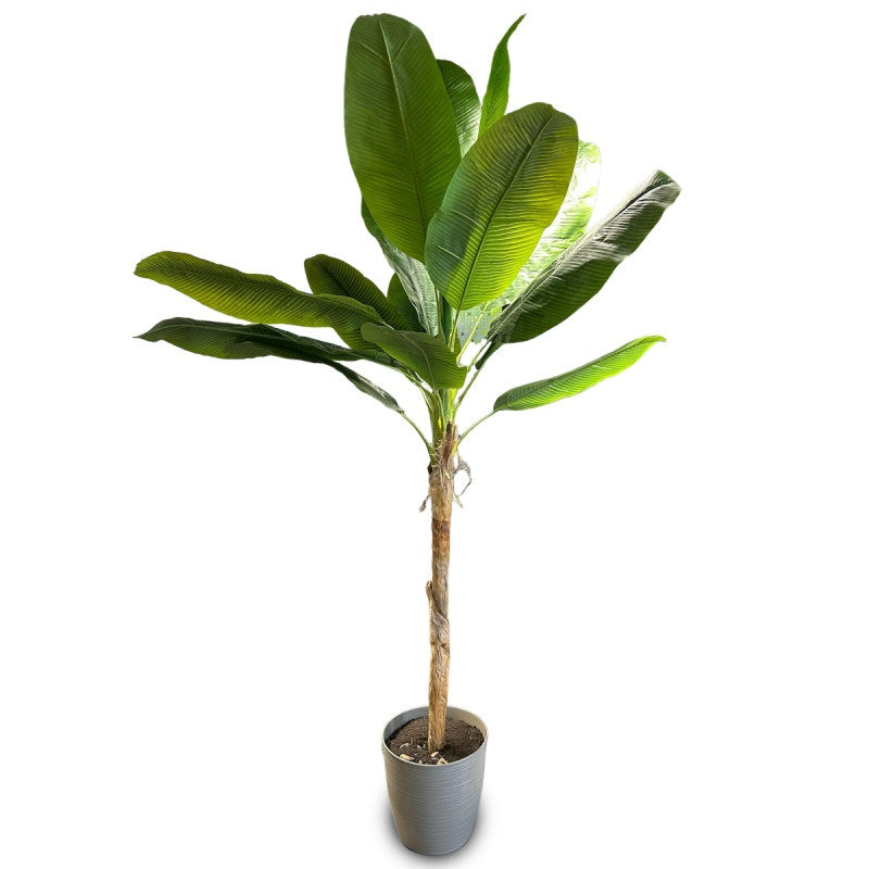 Planta Decorativa Hoja de Platano 220cm