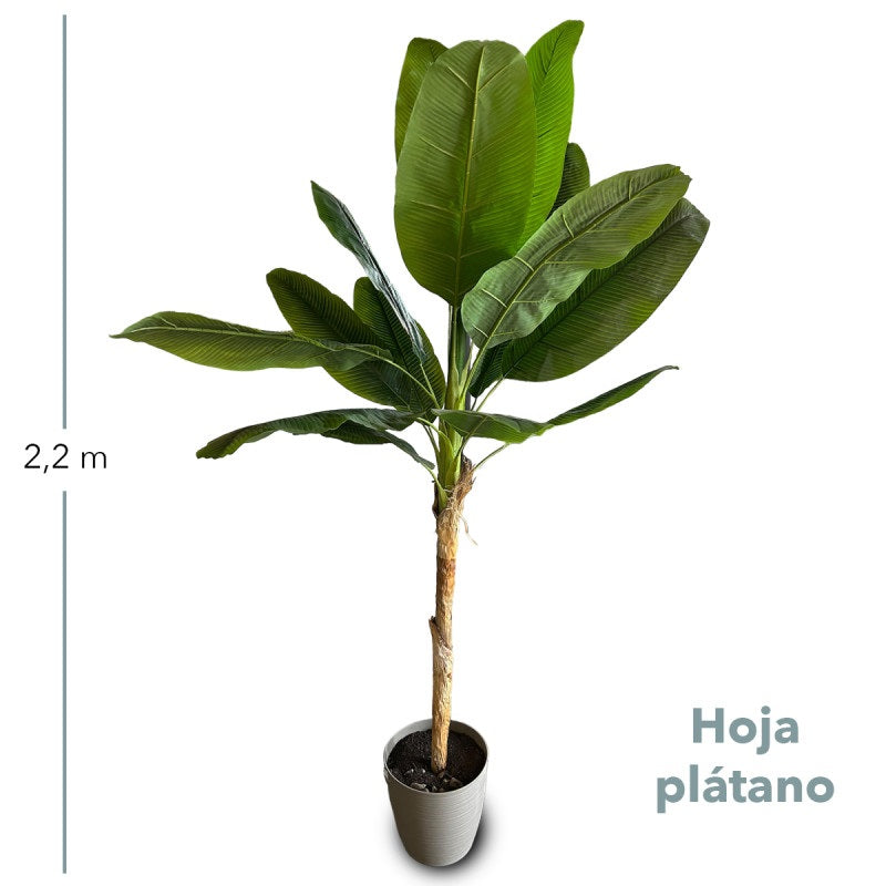 Planta Decorativa Hoja de Platano 220cm