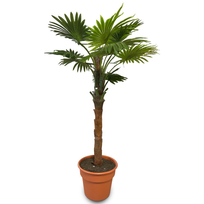 Planta Decorativa Artificial Palmera Abanico 2.0mt